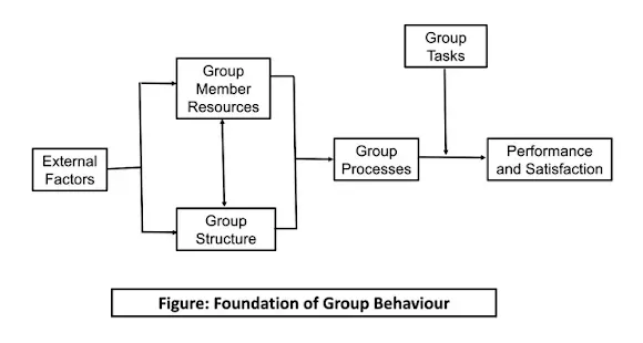 Foundation of group behaviour