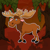 Bull Moose Animal Escape …