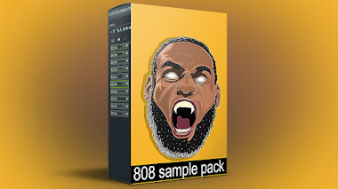 808 SAMPLE PACK / LOOP KIT "808 kit" | vol:29