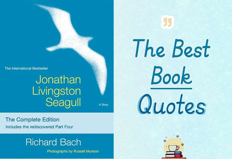 jonathan livingston seagull book buy,jonathan livingston seagull book quotes,jonathan livingston seagull by richard bach,jonathan seagull quotes