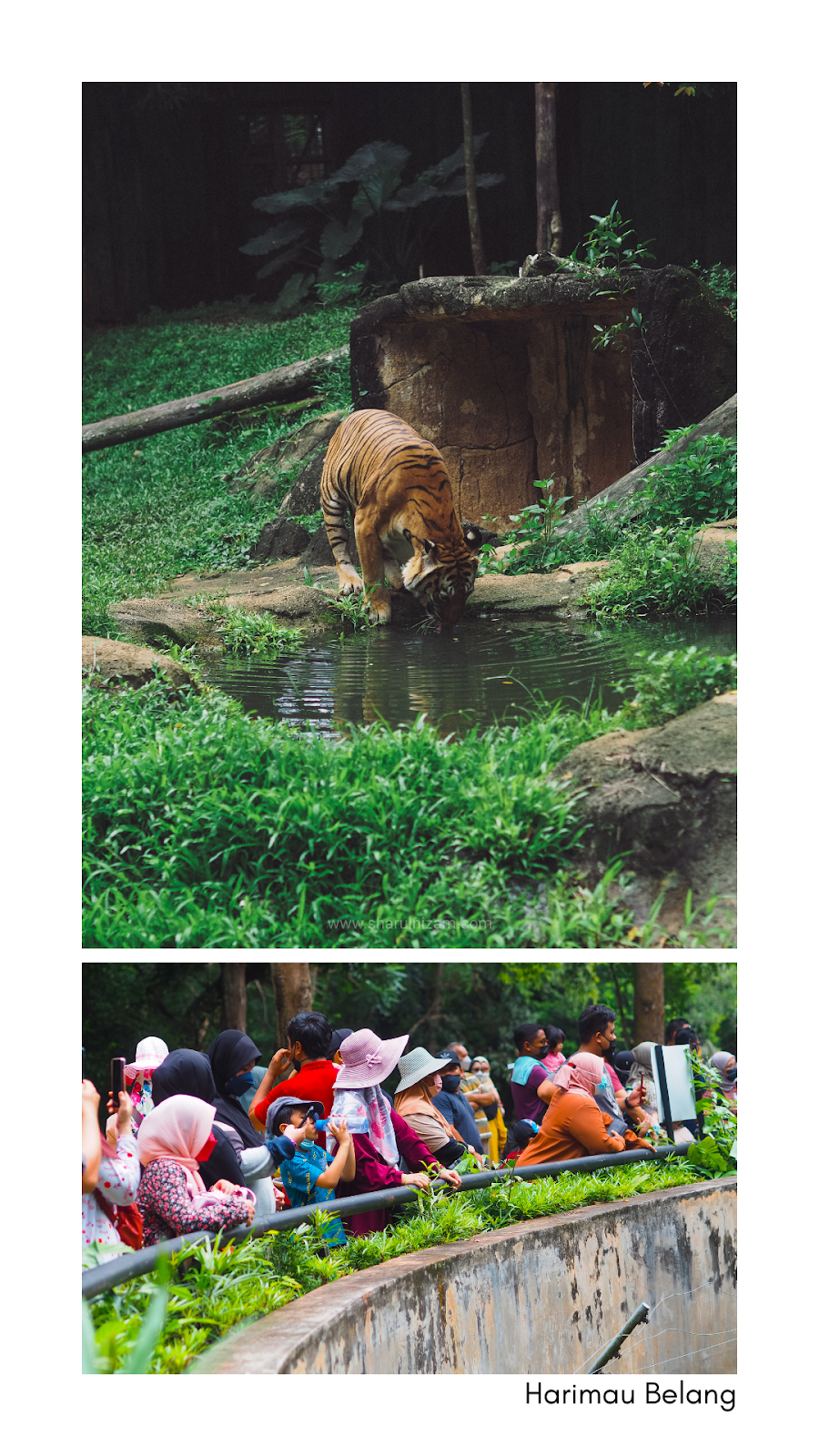 Zoo Melaka