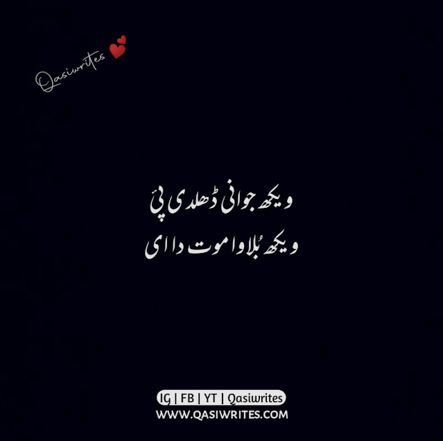 Best Punjabi Poetry in Urdu 2 Lines | Punjabi Quotes in Urdu - Qasiwrites