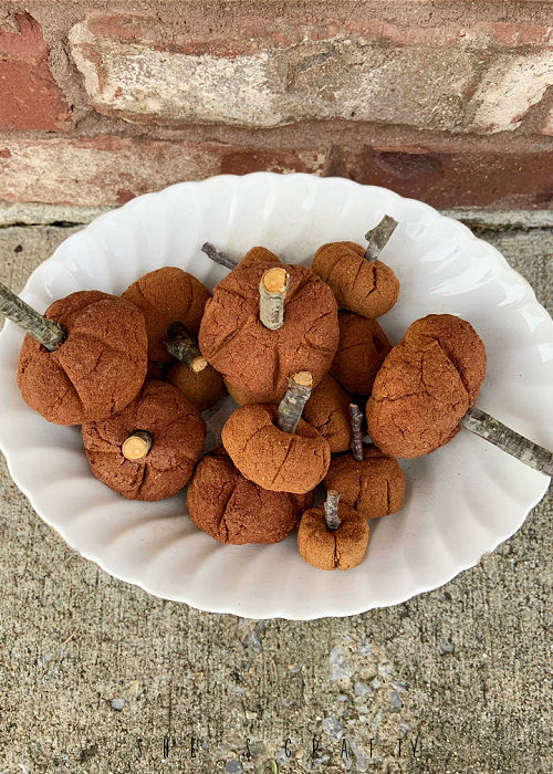 Top Craft posts 2021 cinnamon pumpkins