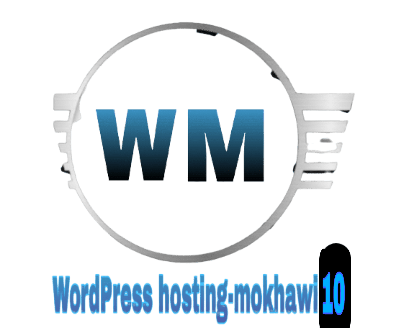 wordpress hosting-mokhawi10