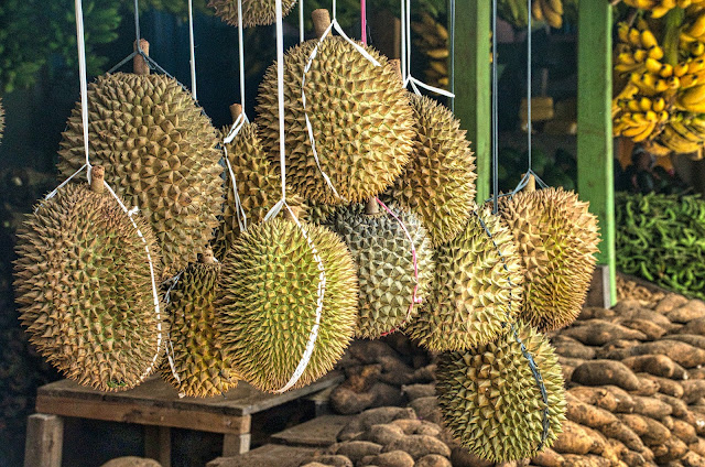 Membasmi Tikus dengan Kulit Durian