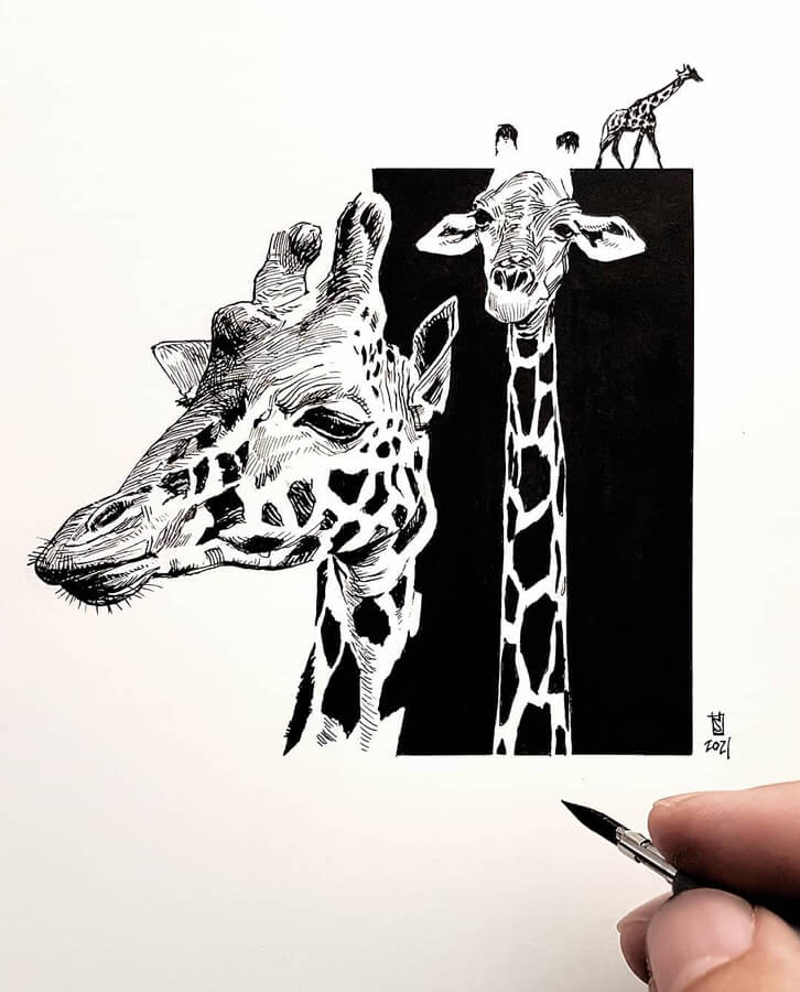 10-Giraffe-lineup-Alberto-Russo-www-designstack-co