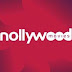 Nollywood Produced 375 Movies in Q3 of 2021 – NFVCB