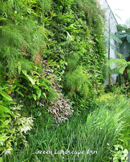 Jasa Vertical Garden Morowali - Jasa Pembuatan Taman Vertikal di Morowali