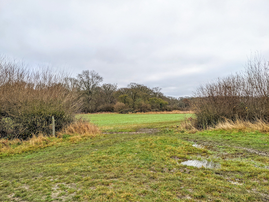 At the junction continue to follow Weston footpath 3 and head SE