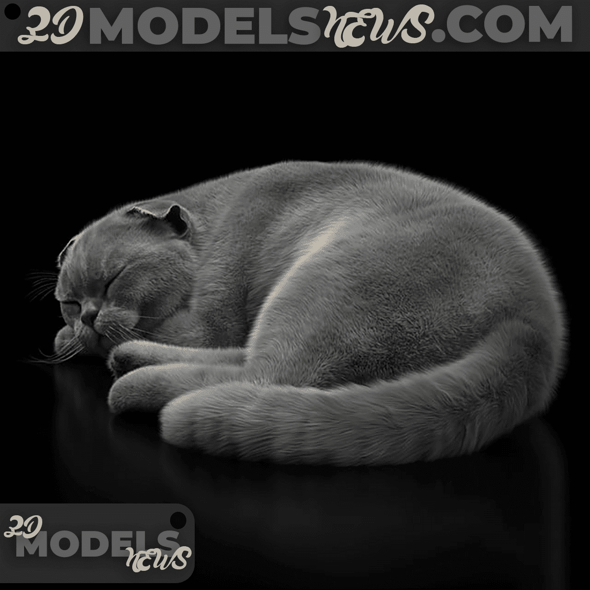 Black Cat Model 1