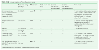 Interpretation of Liver Function Tests