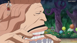 ワンピースアニメ WCI編 794話 ビッグマムの夫 パウンド Pound | ONE PIECE Episode 794