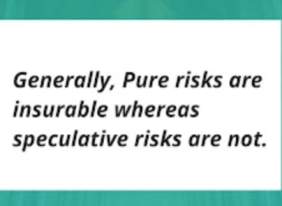 Pure risk vs speculative risk