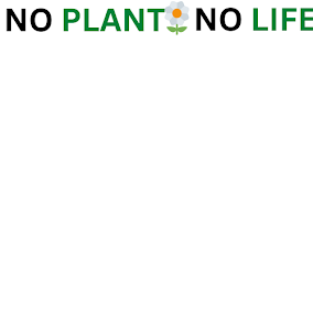 No Plant No Life