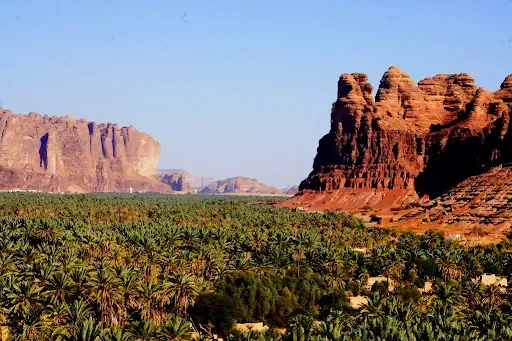 العلا