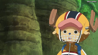 ワンピースアニメ ゾウ編 761話 チョッパー かわいい Tony Tony Chopper | ONE PIECE Episode 761