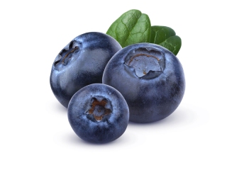 ब्ल्यूबेरी Blueberry