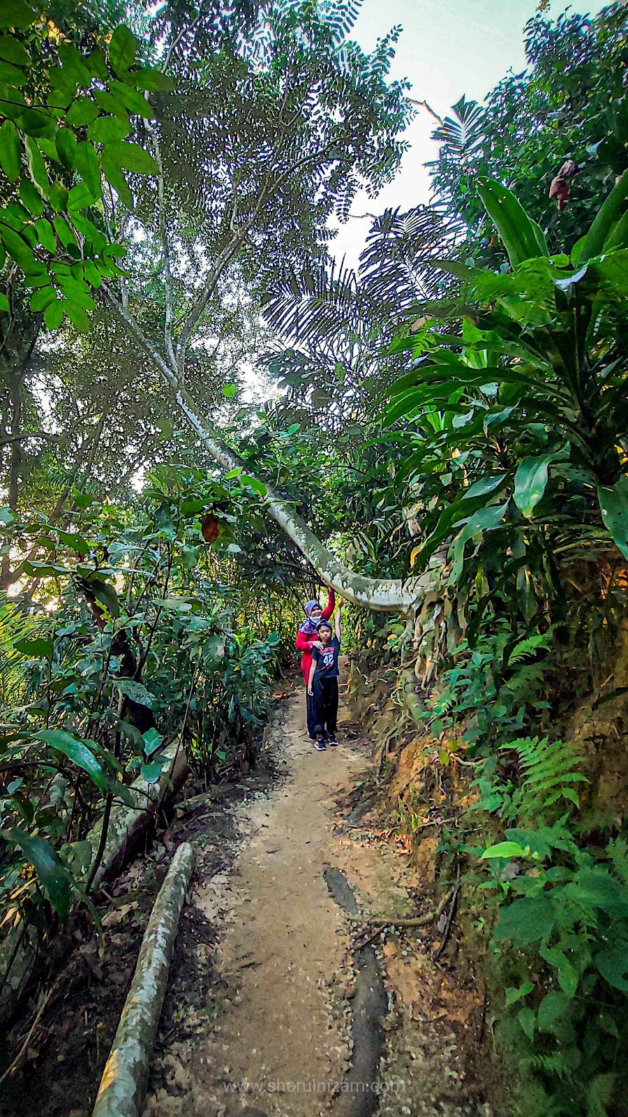 Trekking Ke Taman Tugu Trail Kuala Lumpur Bersama Keluarga