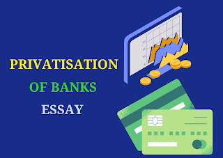 Essay on Privatization of Banks Advantages and Disadvantages