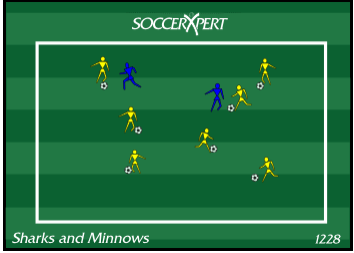 Sharks and Minnows