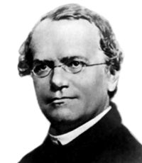 Gregor Mendel