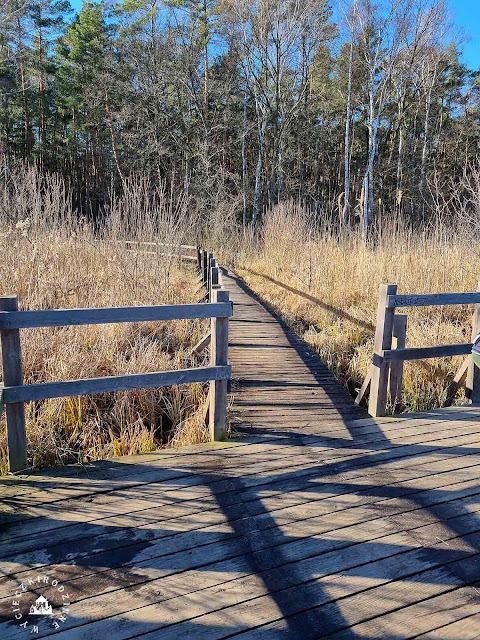 Mazowiecki Park Krajobrazowy