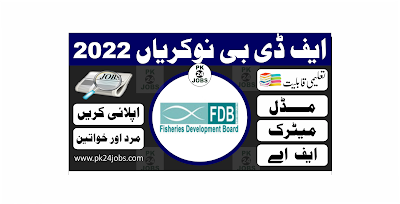 FDB Jobs 2022 – Government Jobs 2022