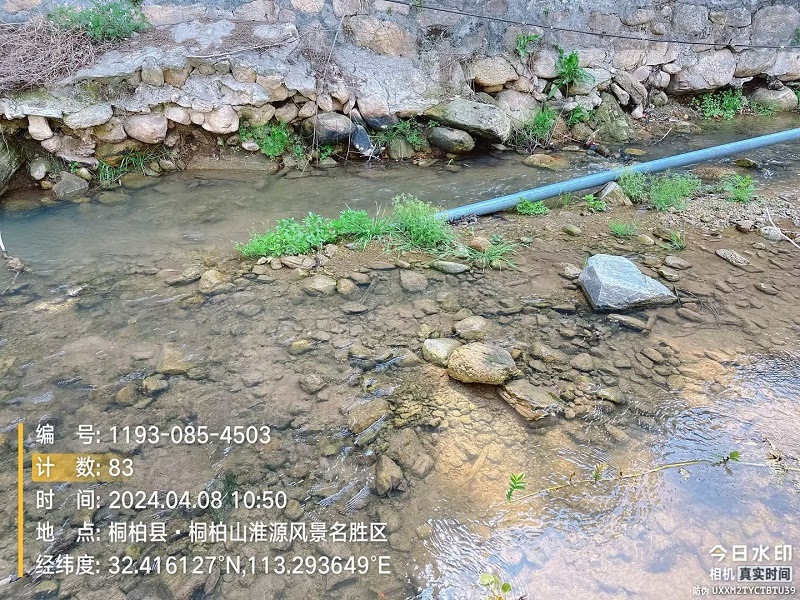 CBCGDF Huaihe River Source Project Team Investigates Water Ecological ...