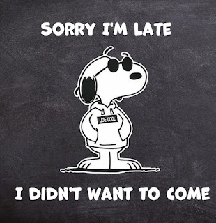 Sorry I'm late, I didn't want to come.