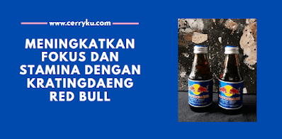 fokus dan stamina meningkat dengan kratingdaeng red bull