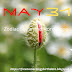 Horoscope: May 31 zodiac sign