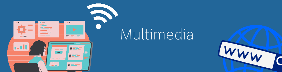 P-multimedia.¹¹