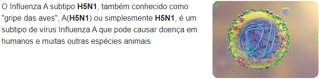 Surtos de gripe aviária H5N1 atingem aves na Índia e na Europa