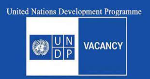 United Nations Development Program (UNDP) Job Cir Circular 2022 - undp job news 2022 - ইউএনডিপি নিয়োগ বিজ্ঞপ্তি ২০২২ - NGO Job News 2022