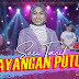 Lirik Lagu Suci Tacik - Layangan Putus