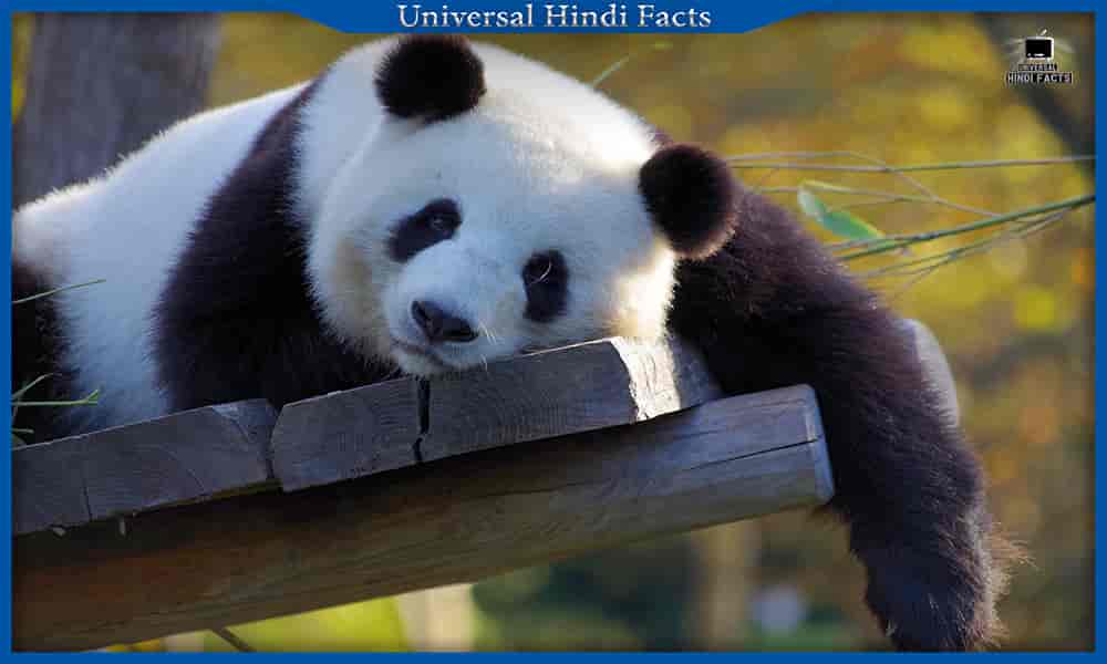 facts in hindi, amazing facts in hindi, interesting facts in hindi, psychology facts in hindi,