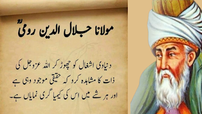 Maulana Rumi Quotes In Urdu