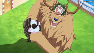 ワンピースアニメ ゾウ編 756話 チョッパーモンスターポイント シーザー | ONE PIECE Episode 756