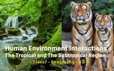 Chapter 8: Human Environment Interactions: The Tropical and The Subtropical Region - Questions and Answers (Part-2) #class7SocialScience #Class7Geography #AmazonBasin #GangaBRahmputraBasin