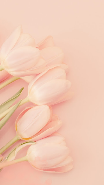 10 Elegant Mobile Phone Wallpapers - Pink Pastel Floral Abstract Soft Themed - Beautiful, Unique, Stylish Art Designs