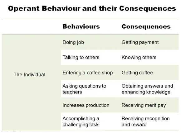 operant behaviour and their consequences