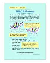 A Simple Explanation of BRCA Genes