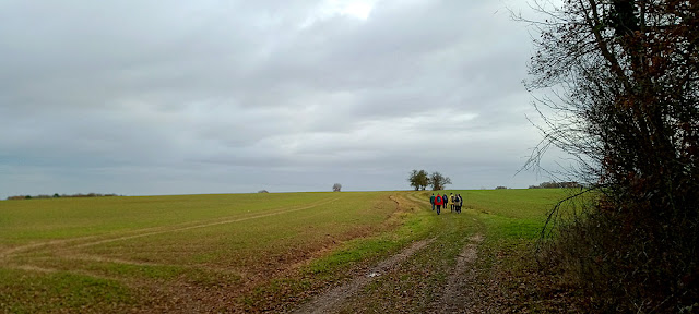 Walking through fields, Indre et Loire, France. Photo by Loire Valley Time Travel.