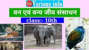 पाठ 2 - वन और वन्य जीव संसाधन भूगोल (van avm vany jivan sansaadhan) Bhugol Class 10th