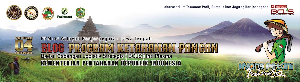 PPM04 Banjarnegara