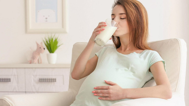 Bolehkah Ibu Hamil Minum Susu Kambing