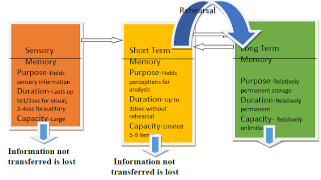 Information processing and human memory