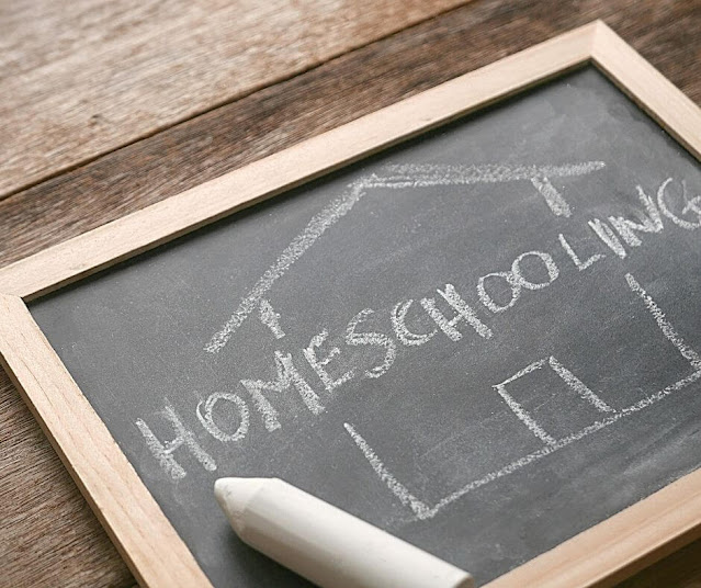 Homeschooling board