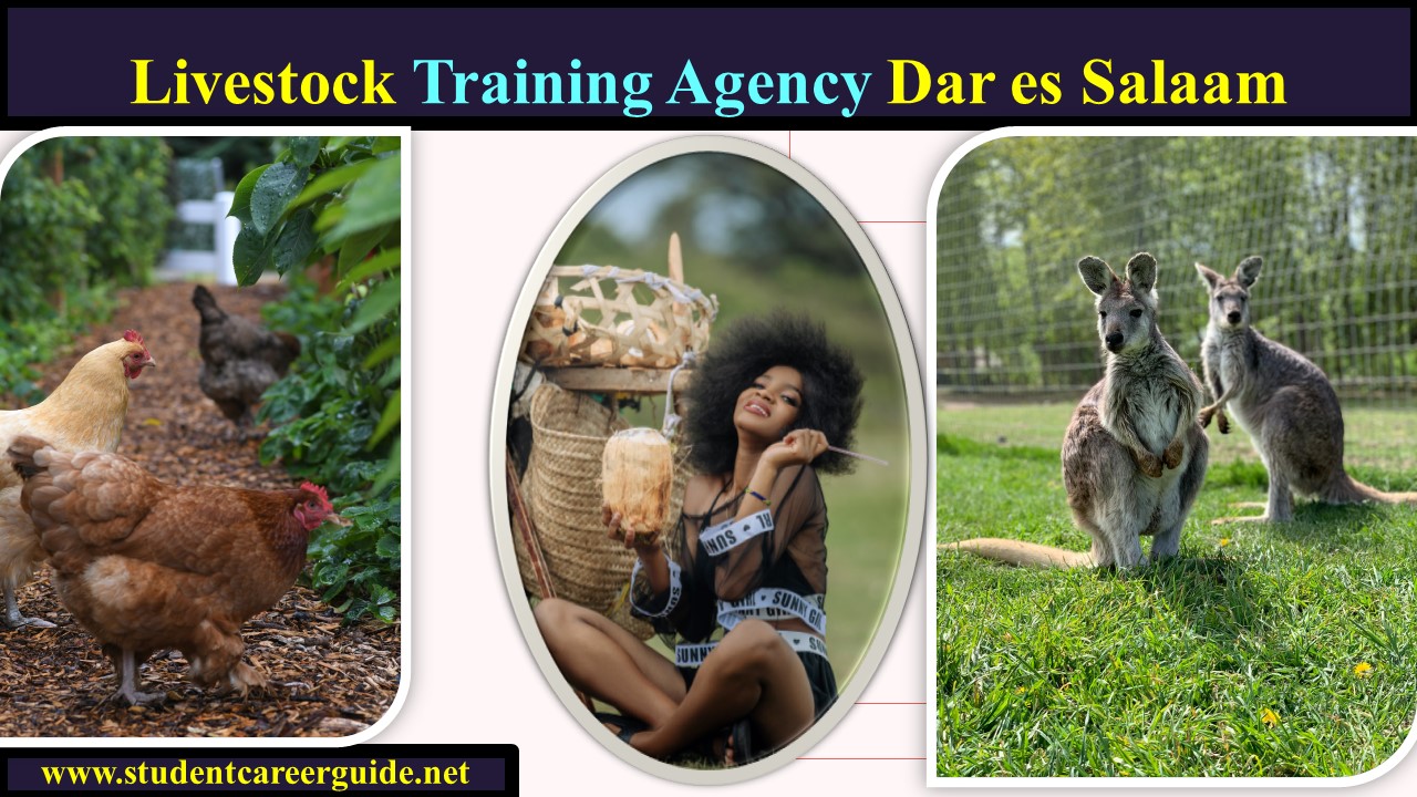 Livestock Training Agency Dar es Salaam