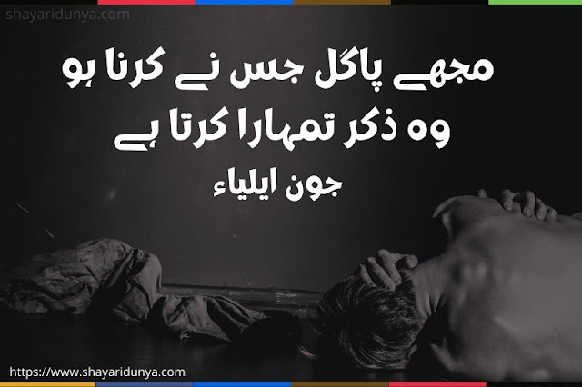 Pagal shayari | Pagal Poetry | Pagal shayari 2 line | Pagal shayari image